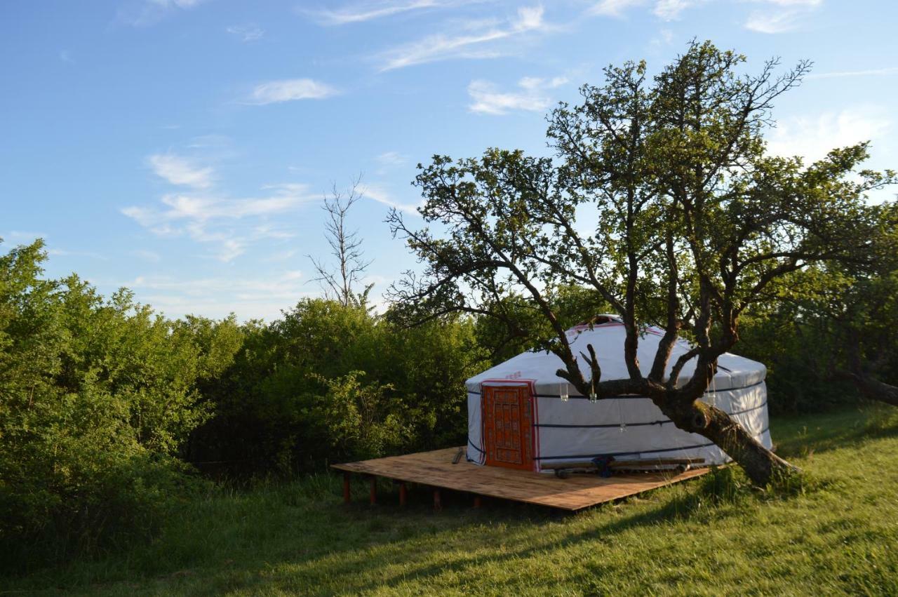 Camping V Raji - Palda Hotell Rovensko pod Troskami Exteriör bild